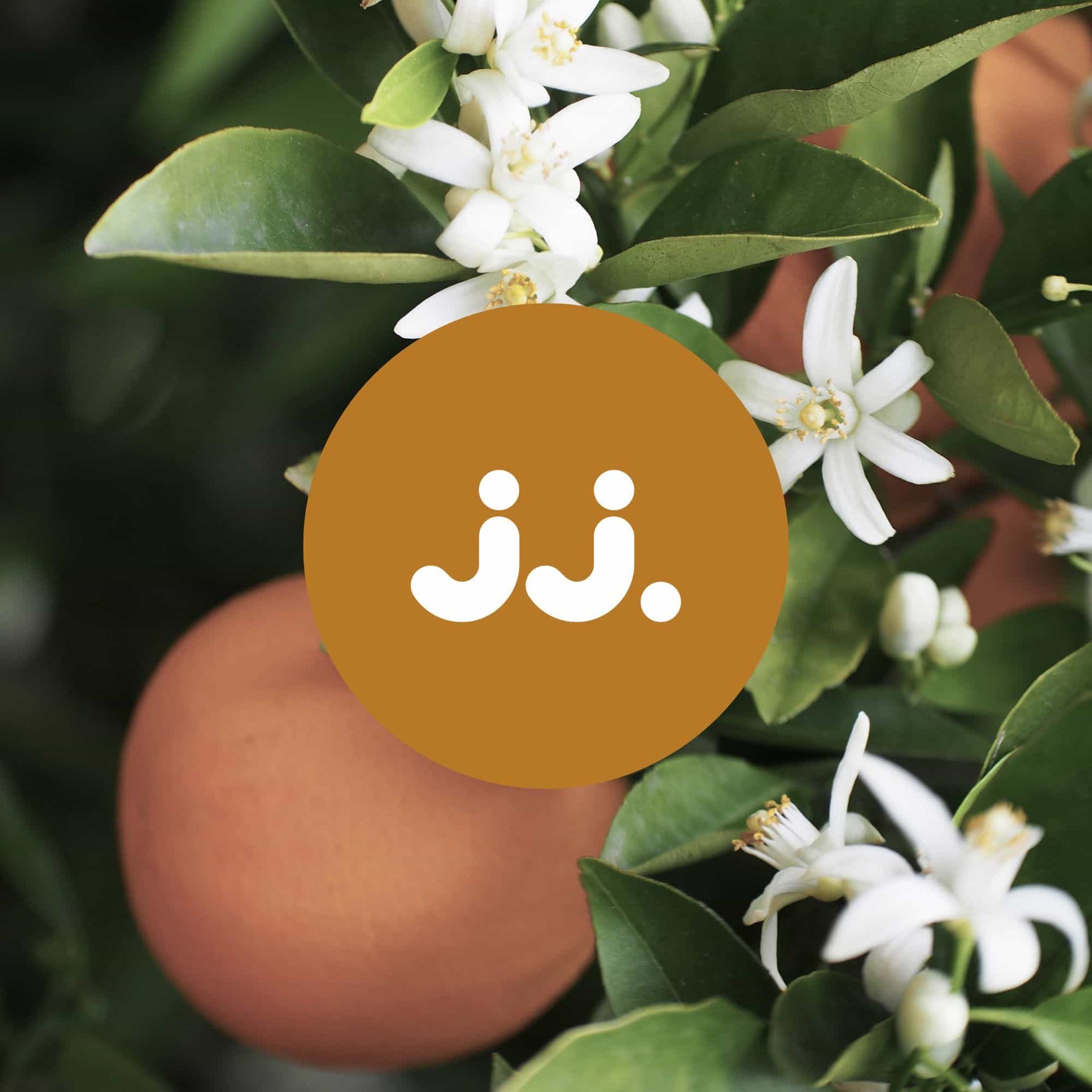 Fleurs de fleur d’oranger et fruits orangés avec logo jj., pour la senteur Citronnelle & Fleur d’oranger. ::visuel:fleur