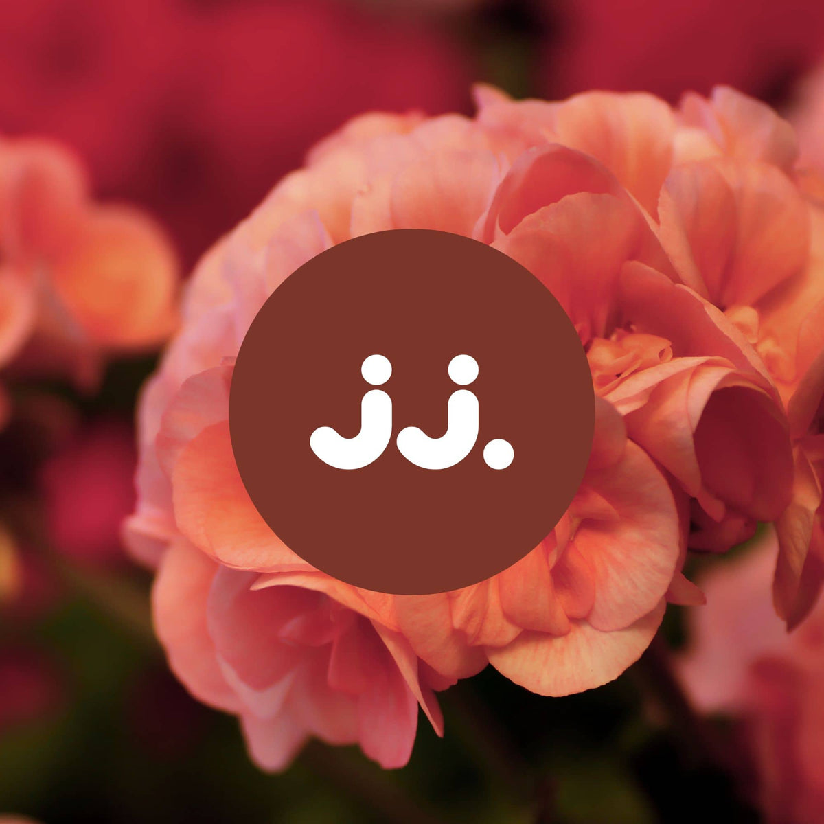 Fleurs de géranium rosées avec logo jj., pour la senteur Citronnelle & Géranium. ::visuel:geranium