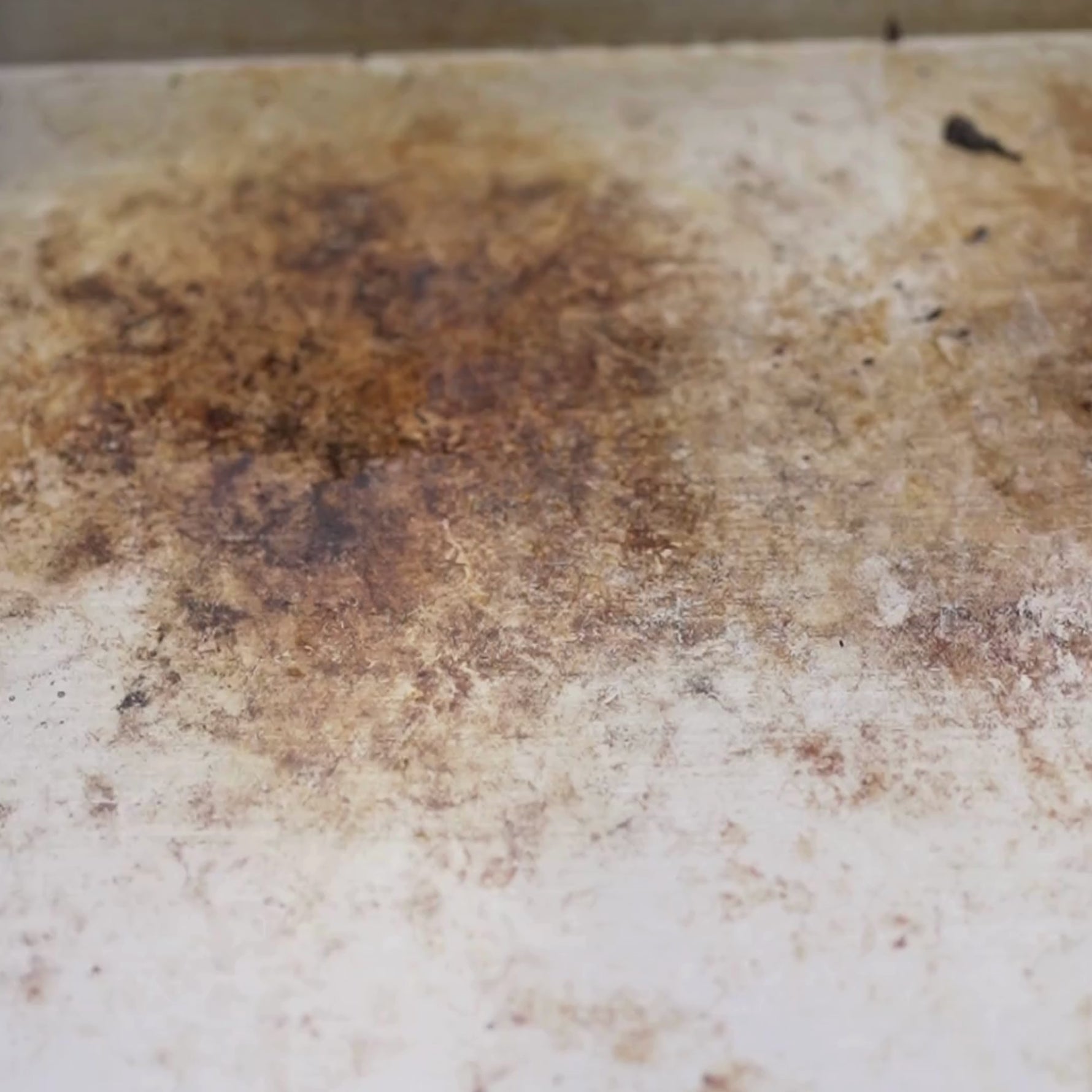 Nettoyage de la plancha vivaplancha en vidéo, montrant l’utilisation d’eau et d’une spatule pour retirer les restes de cuisson